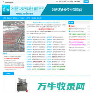 超声波清洗机,超声波生产厂家,定做超声波清洗机,无锡雷士超声波设备有限公司